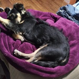 Meet your Posher, Maribel